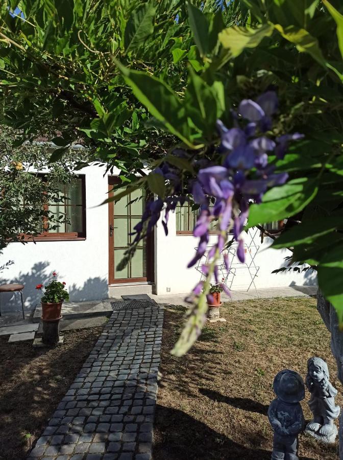 Courtyard Studio Oradea Eksteriør bilde