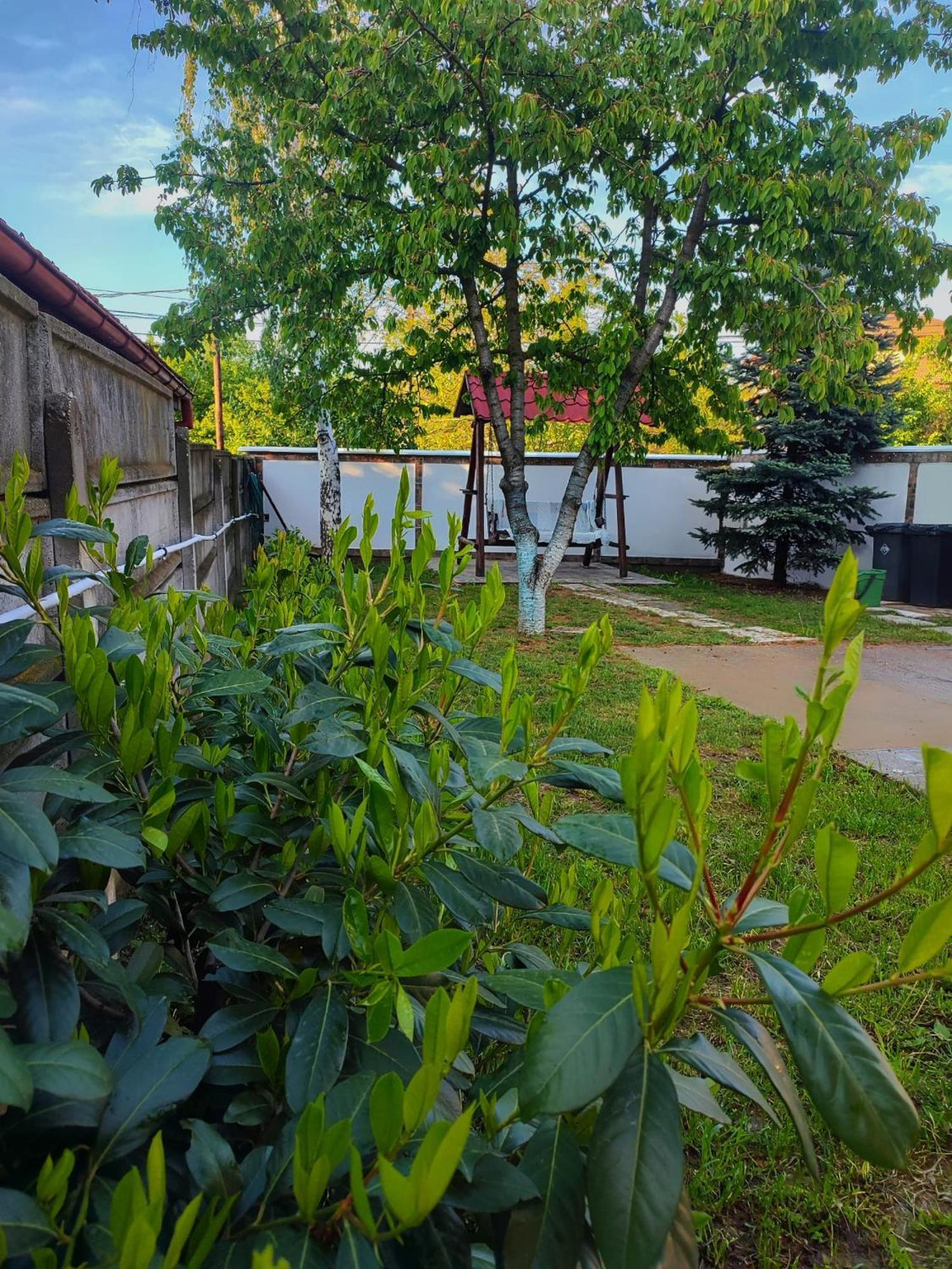Courtyard Studio Oradea Eksteriør bilde
